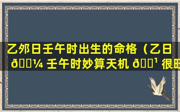 乙邜日壬午时出生的命格（乙日 🐼 壬午时妙算天机 🌹 很旺）